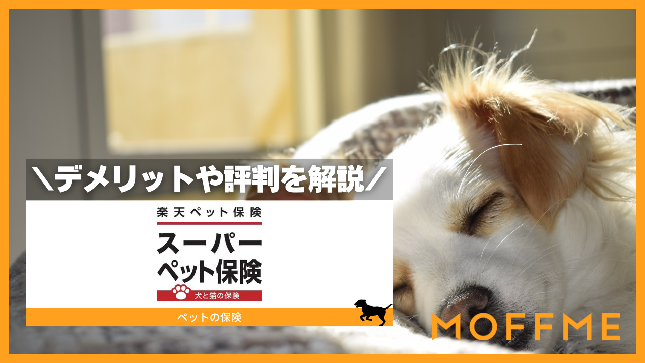 楽天ペット保険「スーパーペット保険(ペット保険2020)」の口コミ・評判を紹介!保険料やデメリットも徹底解説のサムネイル画像